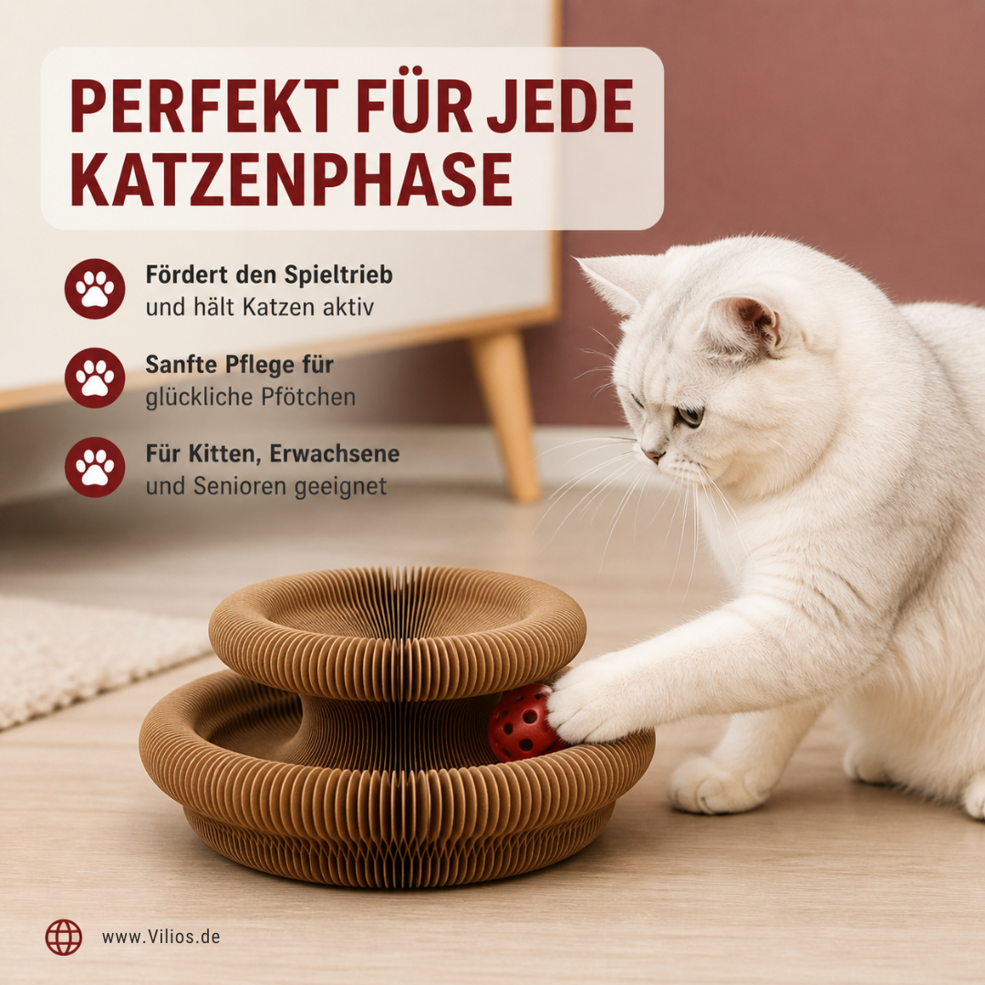 1+1 GRATIS | Spielring Deluxe [Letzter Tag Rabatt]